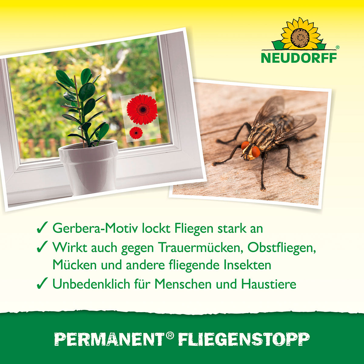 Neudorff Permanent FliegenStopp, Motiv-Klebefalle Anwendung