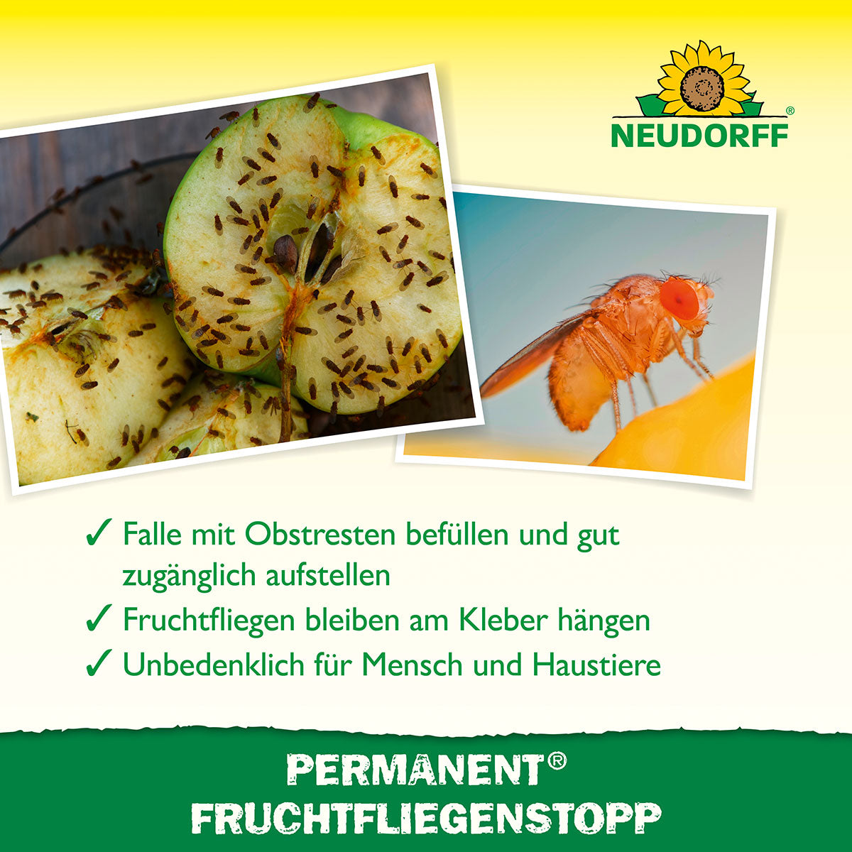 Neudorff Permanent FruchtfliegenStop Anwendung 1